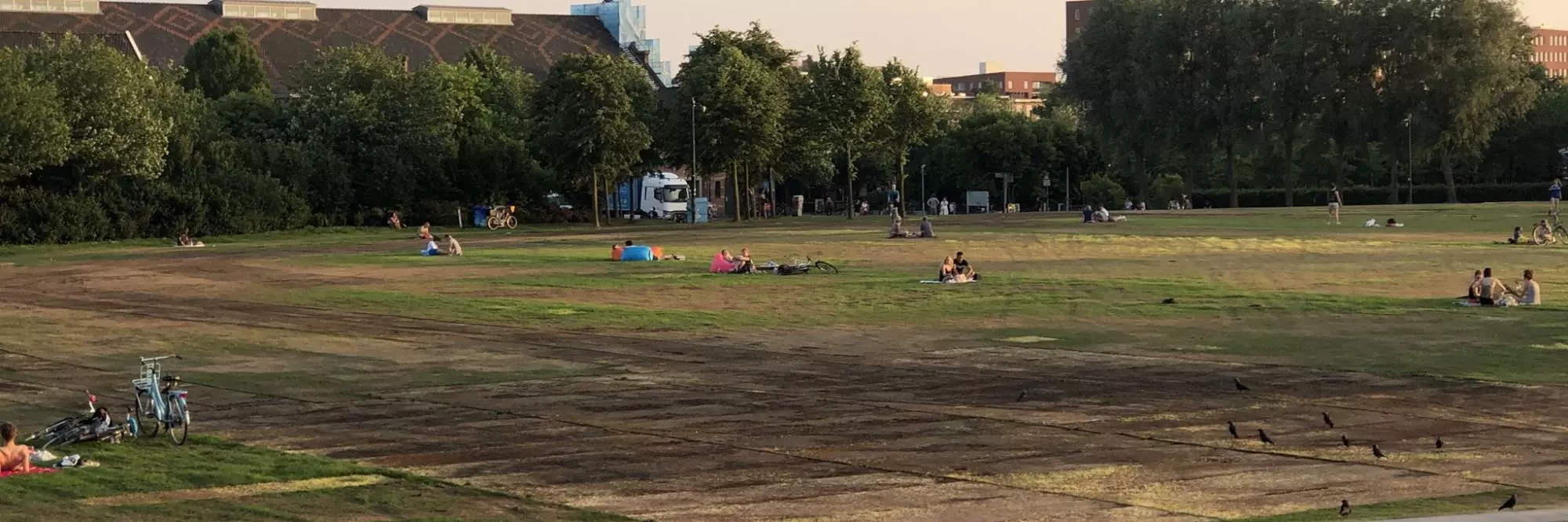 Vlonders op gras kapot park
